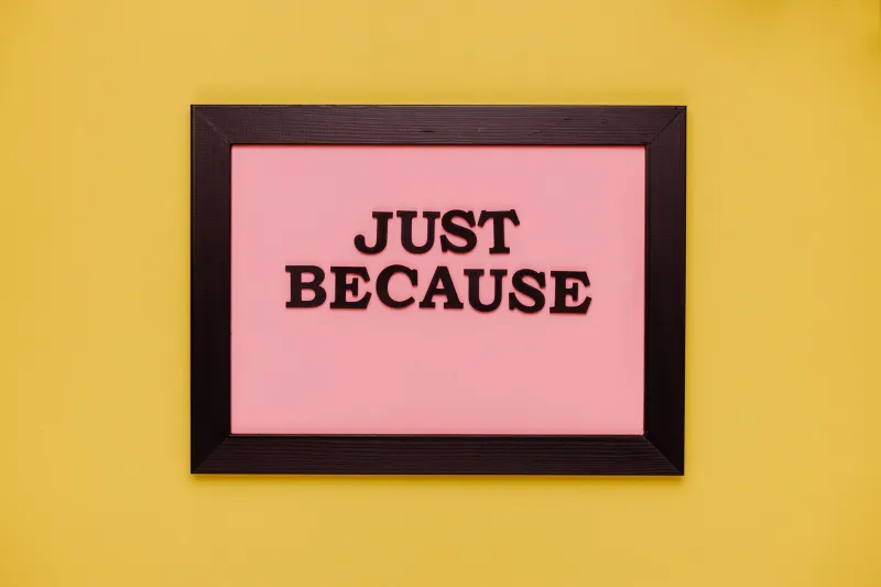 Framed Rejection Letters and Other Trophies Nobody Brags About